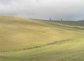 Val d'Orcia