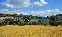 Crete senesi