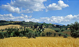 Le terre di Siena